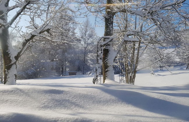Tranquil Garden Apartment - Photo 33