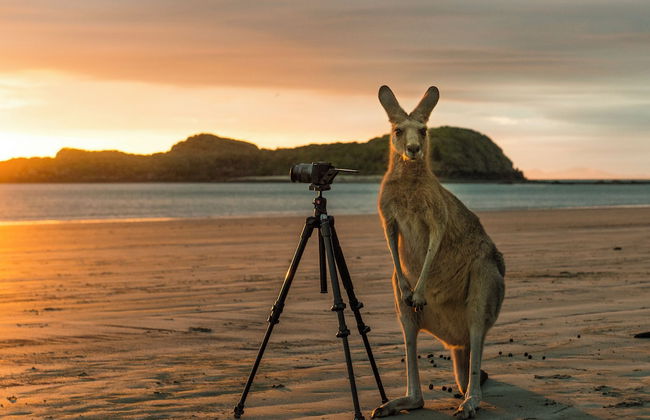 Riviera Mackay - Photo 38