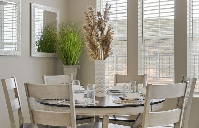 Endless Summer/ Brand New Waterpark! - Foto 40