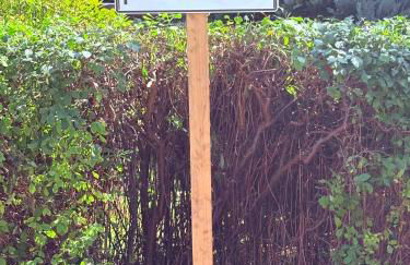 Ferienhaus SONNE - Foto 18