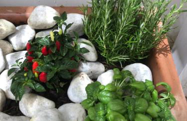 Casa Flavia Apartment - Foto 28