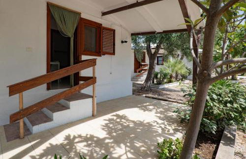 Residence Lido dei Pini - Foto 29