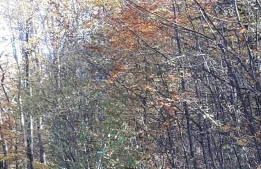 Eifel Residence - Foto 27