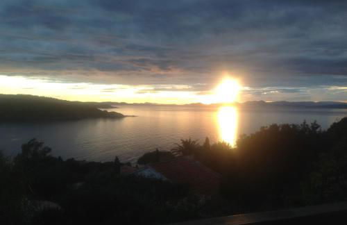 La Coccinelle - Foto 43