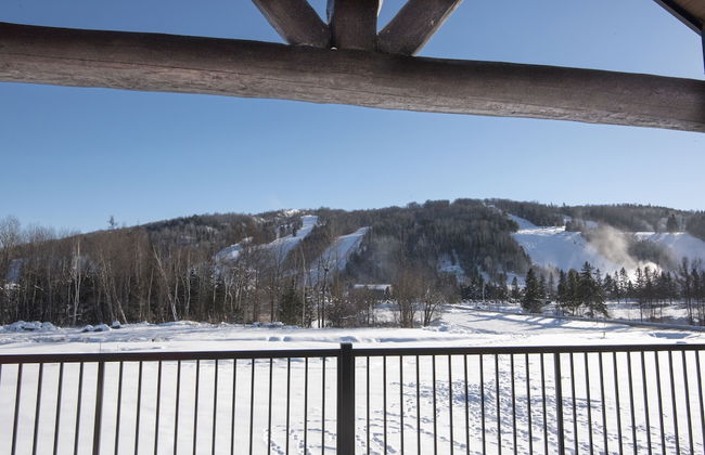 Domaine Nymark - Photo 50