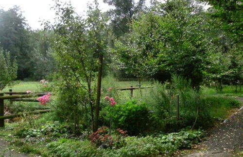 Ferienhaus in der Lüneburger Heide - Foto 20