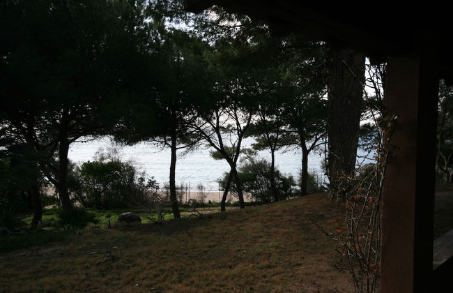 Villa Luisa - Photo 77