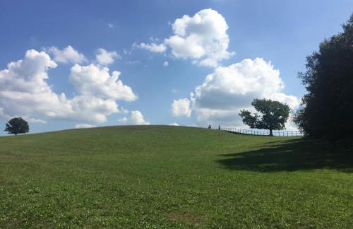 Tenuta Di Paternostro - Foto 29