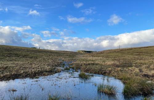 Harzhaus Drei Hexen - Foto 60