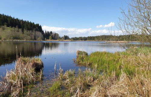 Ferienwohnung Rupp Bergblick & private Sauna - Photo 23