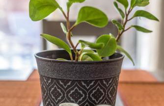 3BR Cozy Home~ Stylish & New ~ UC Merced ~ en route Yosemite! - Foto 16