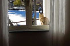 Etna, salvia e rosmarino - Foto 36