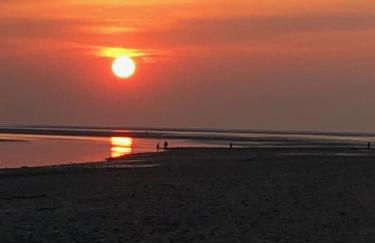 Les Bleuets - Foto 40