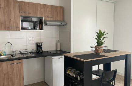 Appartement Cosy et chaleureux proche des grandes entreprises Toulousaine - Photo 24