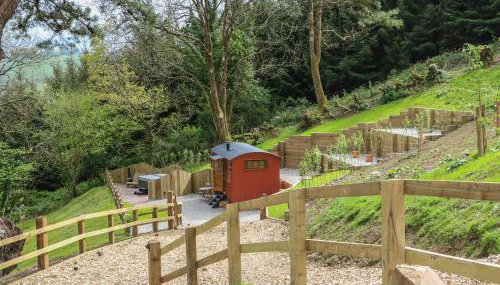 Little Silver Owl - Foto 2