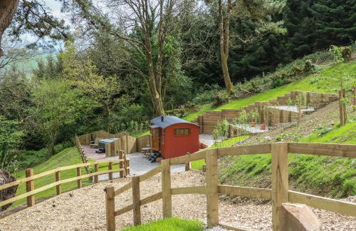 Little Silver Owl - Foto 2