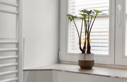 Traumhaft gelegene Altbau-Wohnung im Herzen von Weinheim - Parking - Foto 15