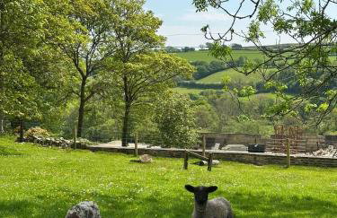 Tregolls Farm Cottages - Foto 16