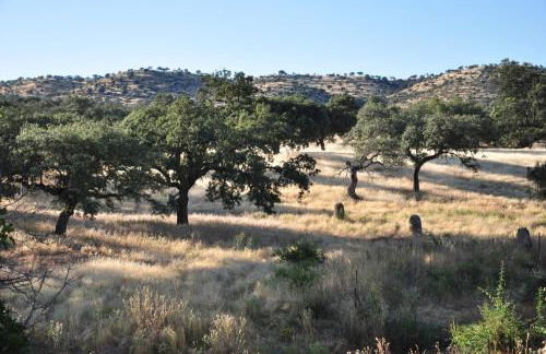 La Matilla - Foto 14