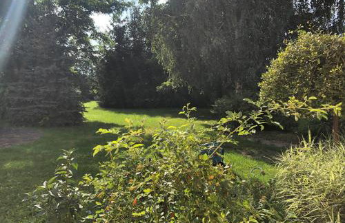 Mazurskie Sioło, Domek Pod Orzechem - Foto 17