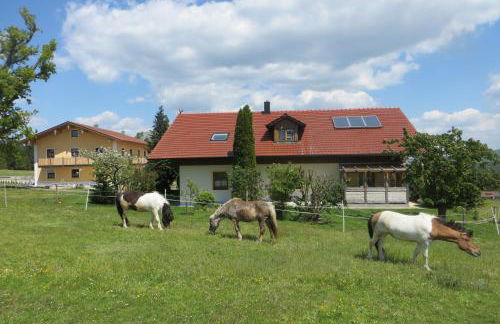 Ponyhof Adam Urlaub auf dem Bauernhof - Foto 20