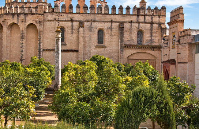 Visita guiada al monasterio de San Isidoro del Campo - Foto 1
