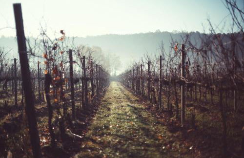 Villa Gradoni - Foto 61