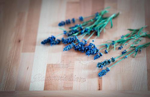 Domki Nad Rozlewiskiem Basen, Małpi Gaj w Świetlicy - Wszystko dla Dzieci - Foto 30