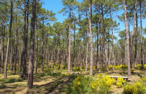 Appartement rez-de-chaussée - Foto 8