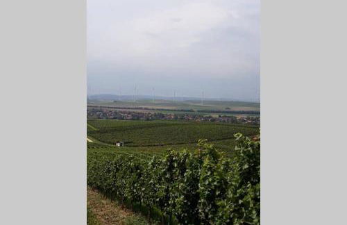 Wohlfühlen im rheinhessischen Backsteinhaus - Foto 33