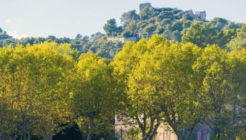 Domaine familial la marjoline - Foto 5