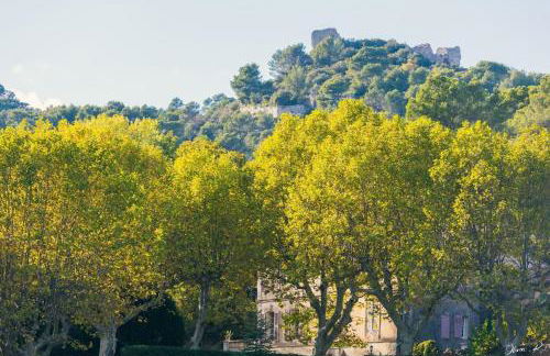 Domaine familial la marjoline - Photo 5