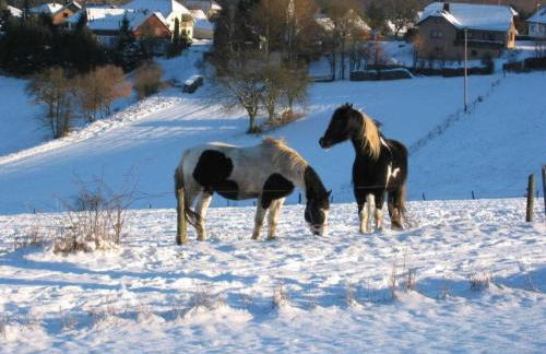 Sabine Comfortable holiday residence - Foto 21