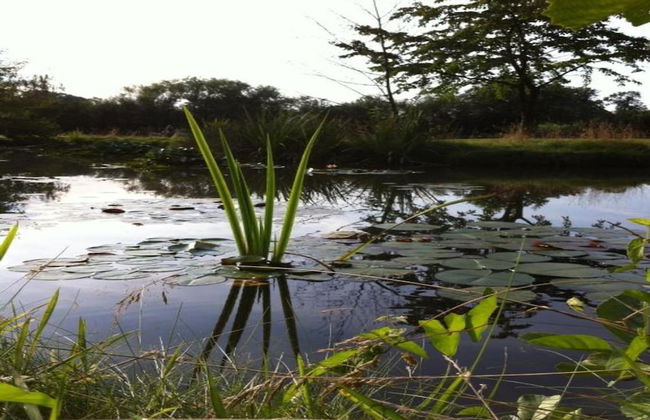 Family Escape With Garden - Foto 35