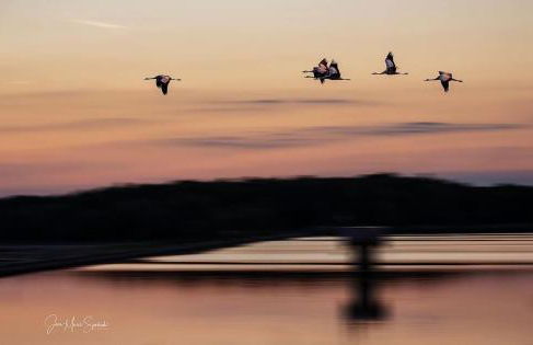 Chalet Lac du Der Giffaumont-Champaubert - Foto 12