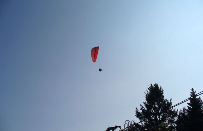 Rifugio La Montanara - Foto 22