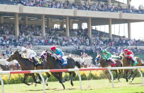 Geometric Loft renovated, hip, pets, poolspa - Foto 36