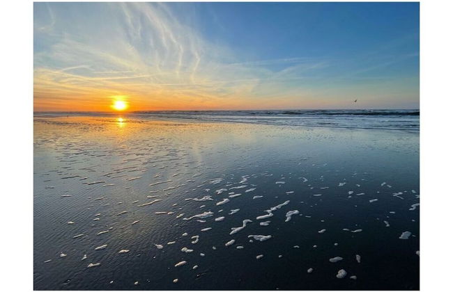 Nice Holiday Home With Terrace - Foto 20