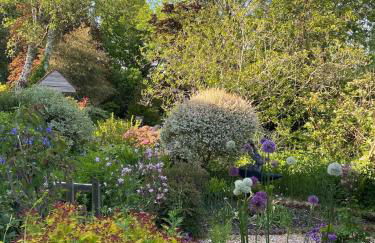 Holdfast Cottage in the heart of The New Forest - Photo 28