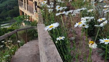 Casa da Rampa - Foto 5