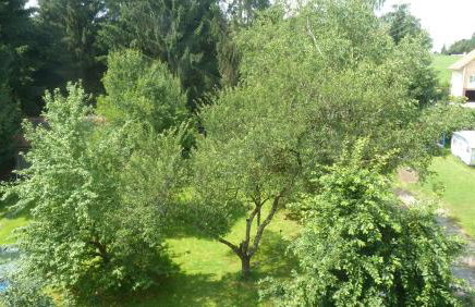 Altes Schulhaus - Foto 32