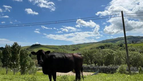 Agriturismo Ca' Belluccio - Foto 3