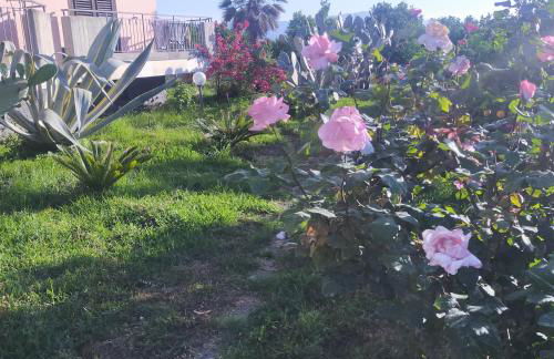 aranceto dell'Etna - Foto 17