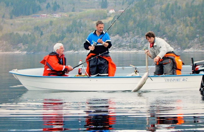 Holiday Home in EidsvÃ¥g - Foto 33