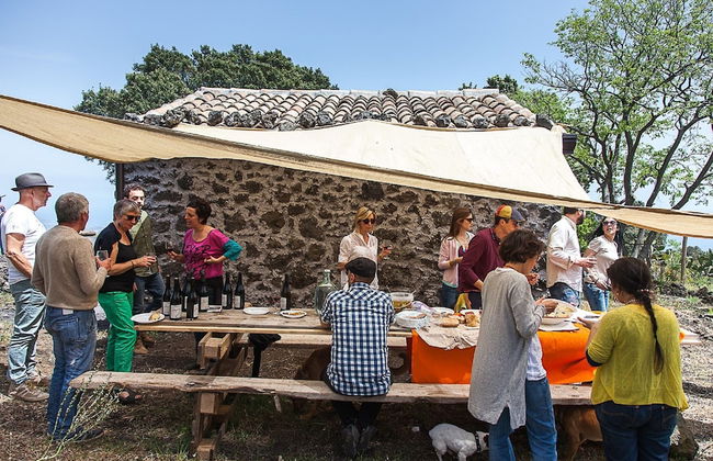 Etnella enoagriturismo Notti Stellate - Foto 34