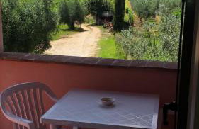 Agriturismo La Quercia - Wine&Pool - Foto 42