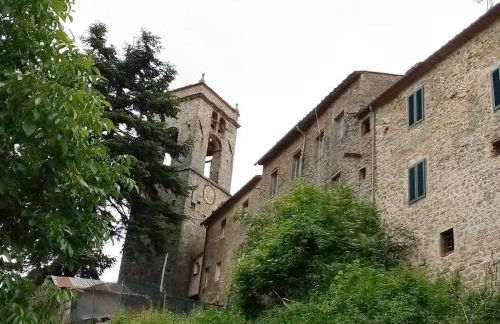 La casa del bosco - Foto 36