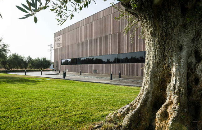 Visita à fazenda Badenes - Aires de Jaén com degustação de azeites - Foto 3