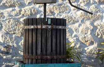 Quinta Dos Sonhos - Foto 10