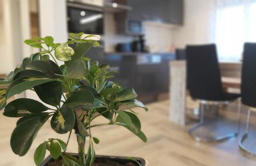 Apartment Claudia - Foto 49